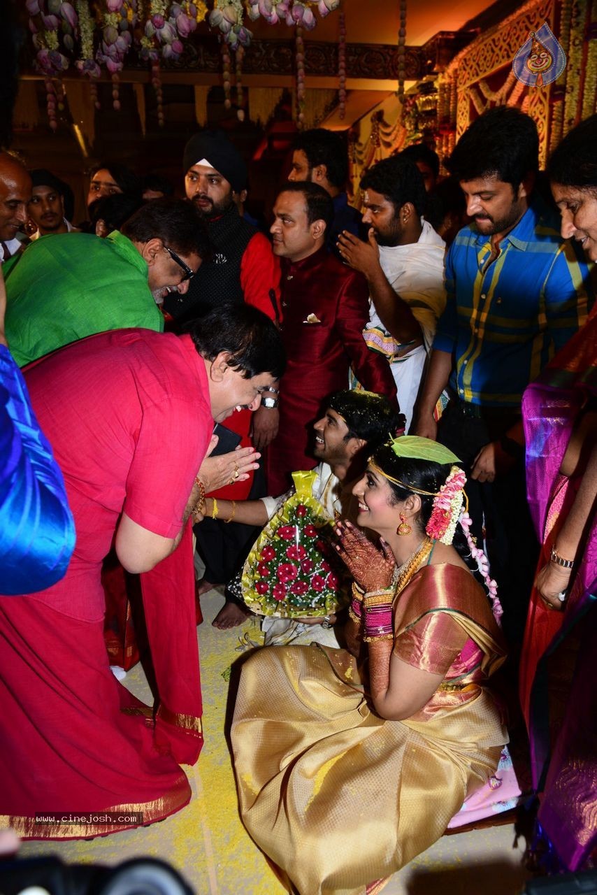 Allari Naresh Wedding Photos 04 - 20 / 59 photos