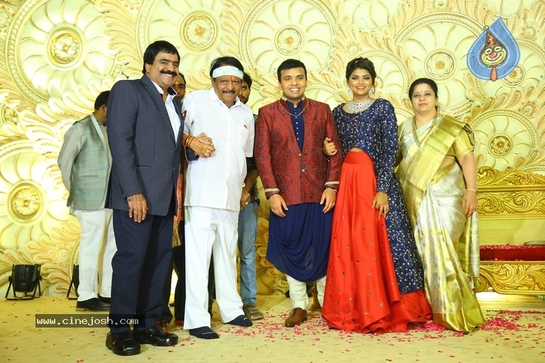 Ambica Krishna Grandson Wedding Reception Photos - 3 / 30 photos