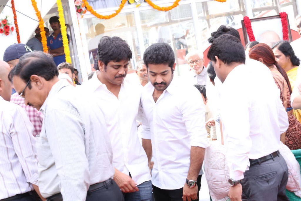 ANR Condolences Photos 03 - 273 / 354 photos