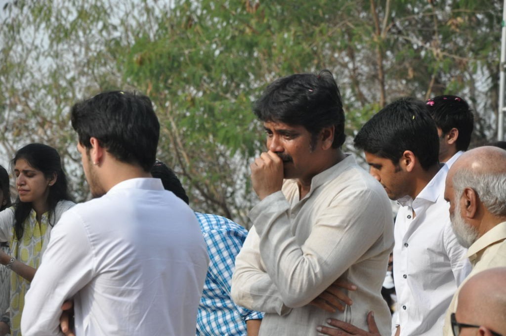 ANR Cremation Photos 02  - 35 / 192 photos