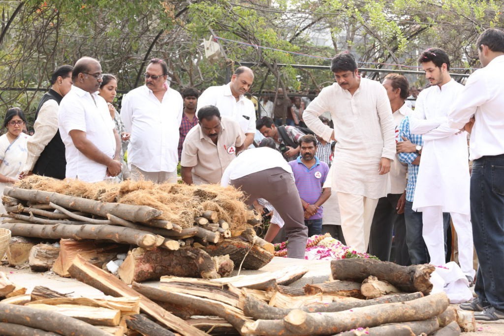 ANR Cremation Photos 01  - 299 / 493 photos