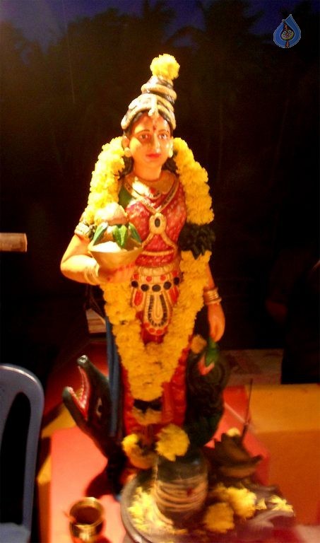 AP Godavari Pushkaralu 2015 Photos - 38 / 74 photos