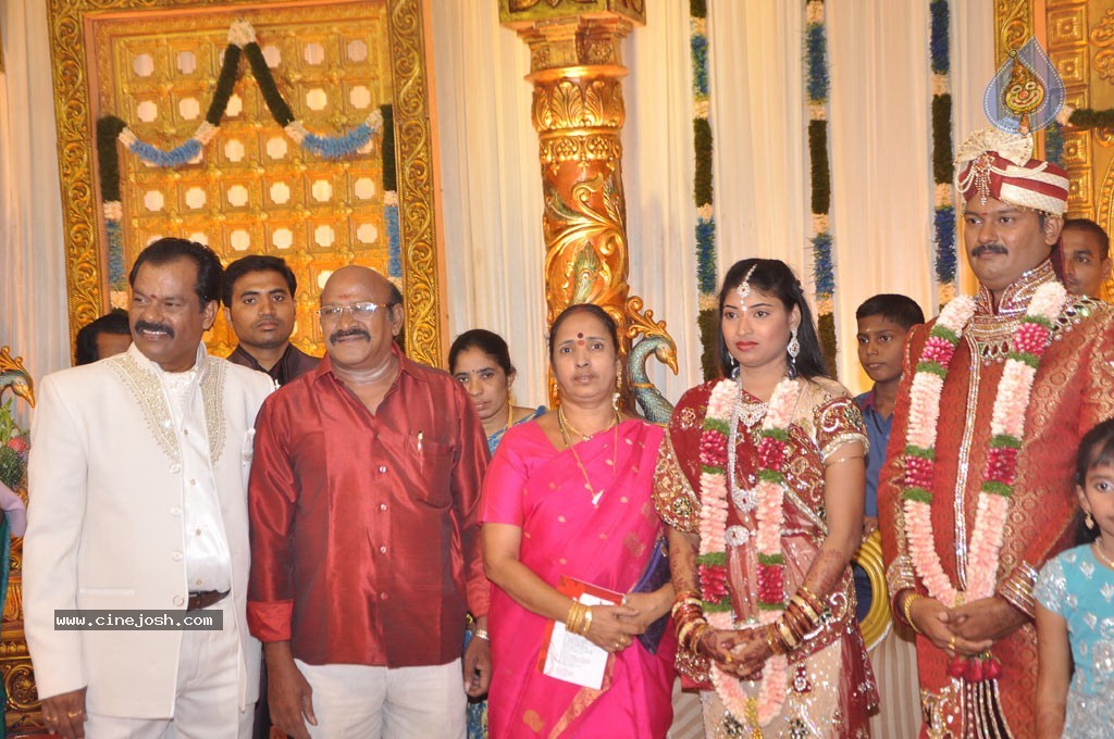 Art Director GK Son Wedding Reception - 15 / 54 photos