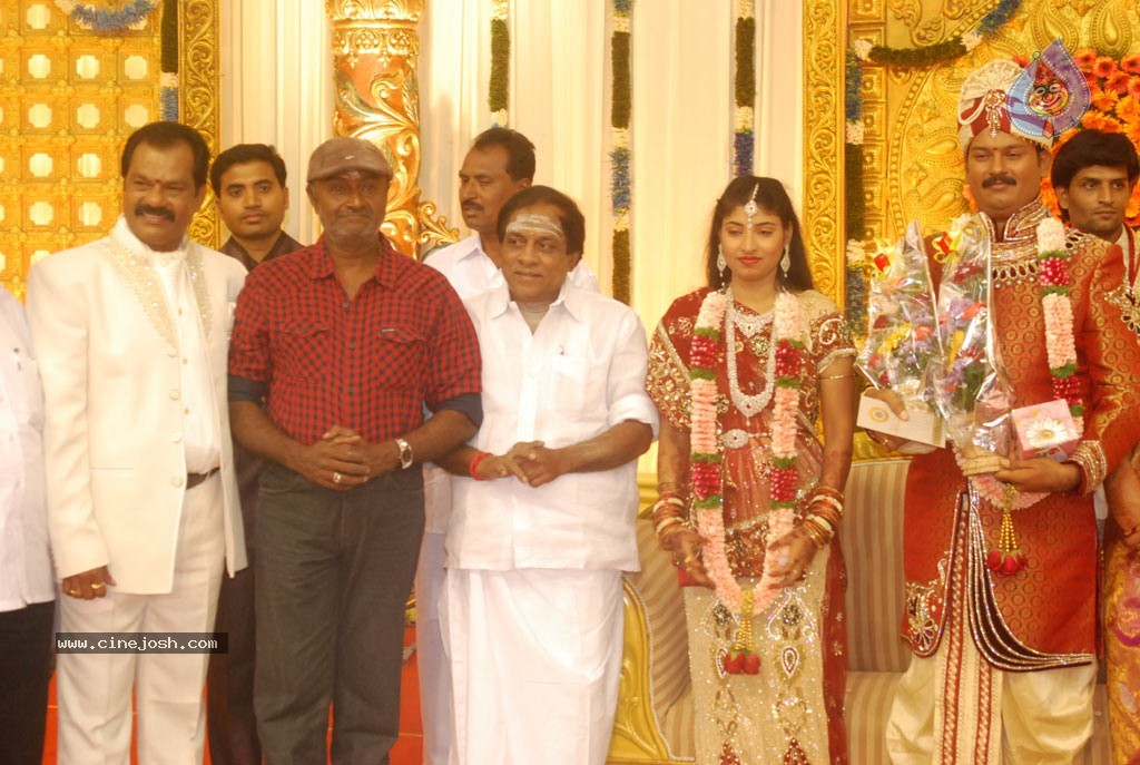 Art Director GK Son Wedding Reception - 18 / 54 photos