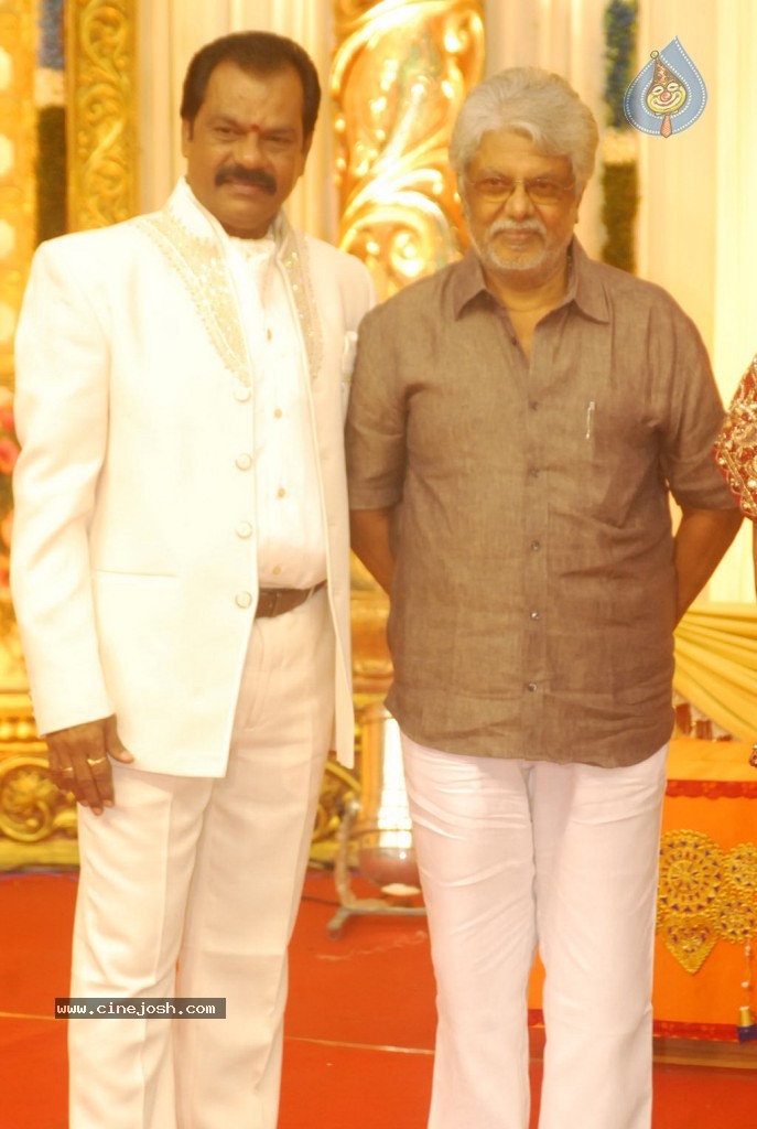 Art Director GK Son Wedding Reception - 27 / 54 photos