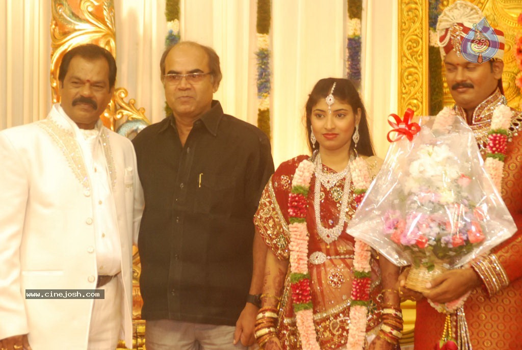 Art Director GK Son Wedding Reception - 35 / 54 photos