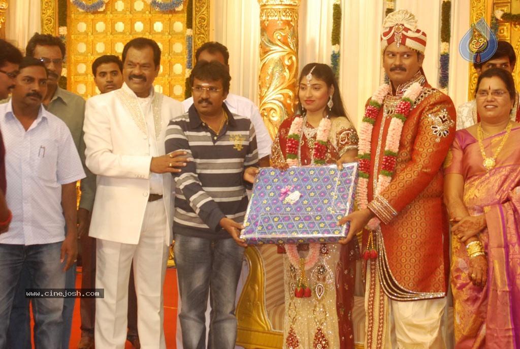 Art Director GK Son Wedding Reception - 39 / 54 photos