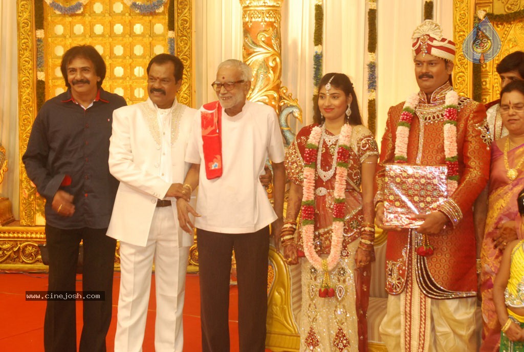 Art Director GK Son Wedding Reception - 41 / 54 photos