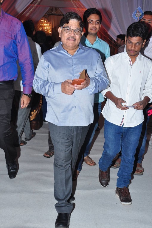 Aswini Dutt Daughter Wedding Reception 2 - 10 / 56 photos