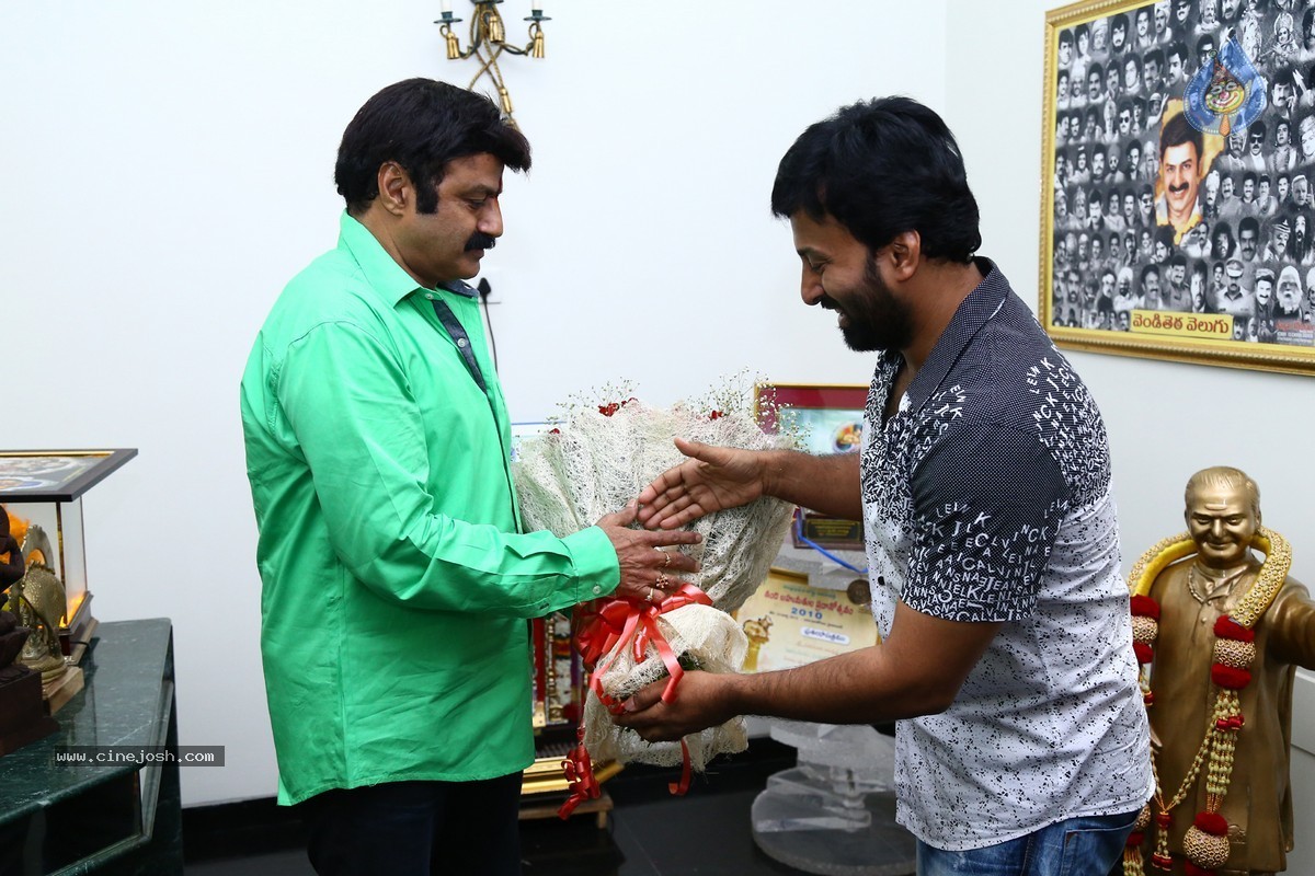 Balakrishna Birthday Celebrations 2015 - 2 / 64 photos