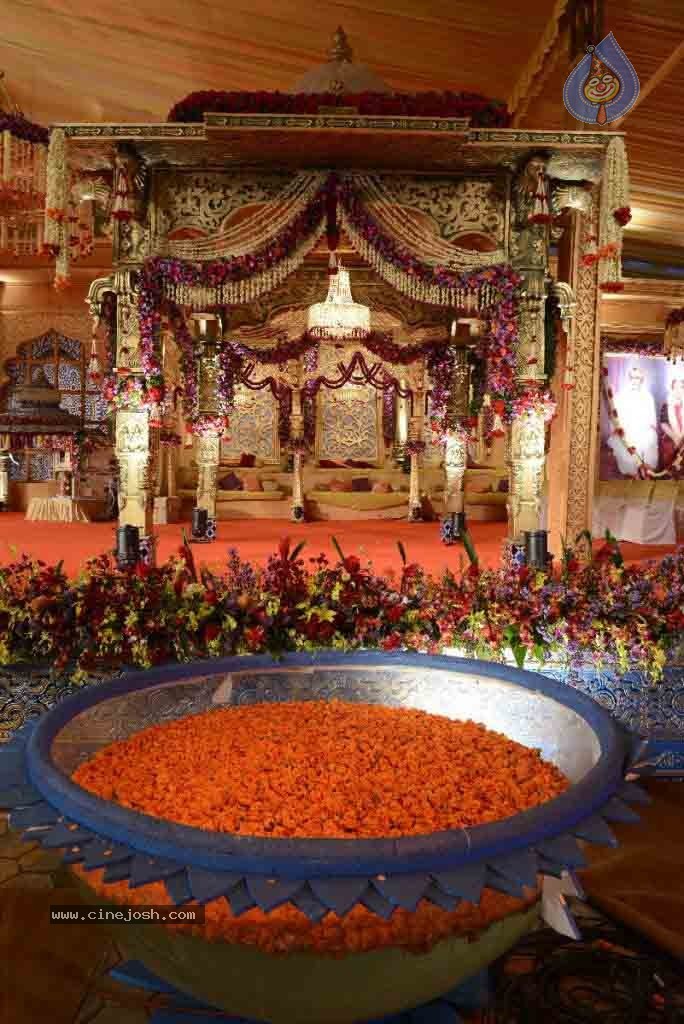 Balakrishna Daughter Wedding Stage Photos - 17 / 54 photos