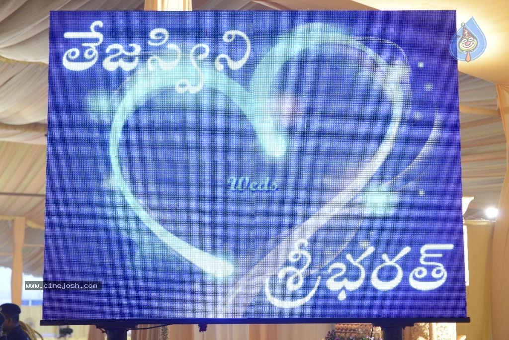 Balakrishna Daughter Wedding Stage Photos - 35 / 54 photos