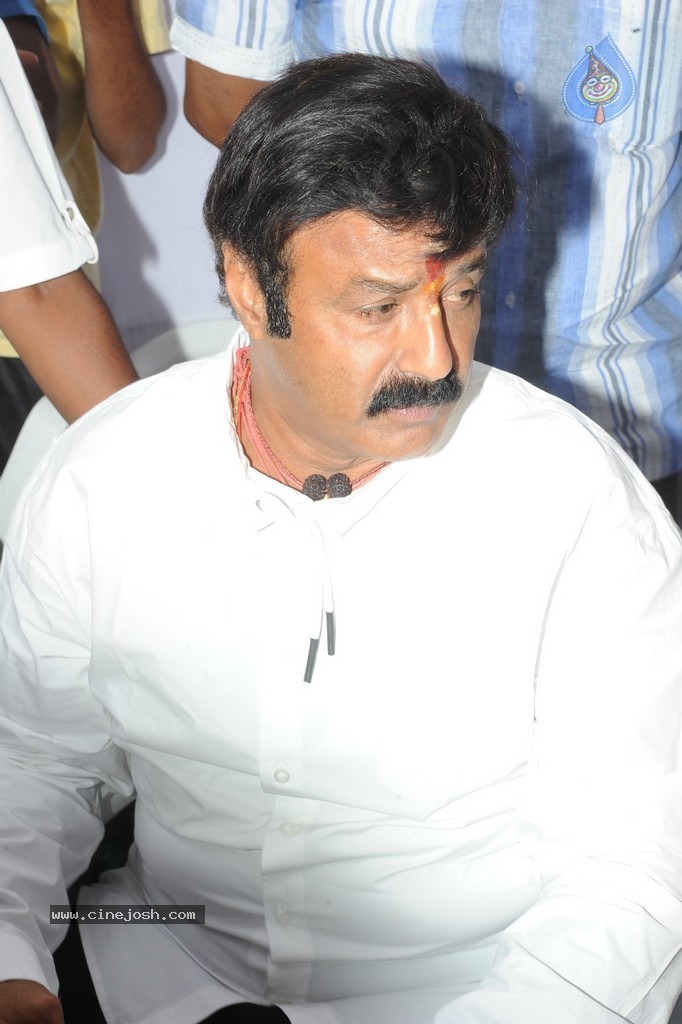 Balakrishna Launches Raju Gari Ruchulu - 18 / 304 photos