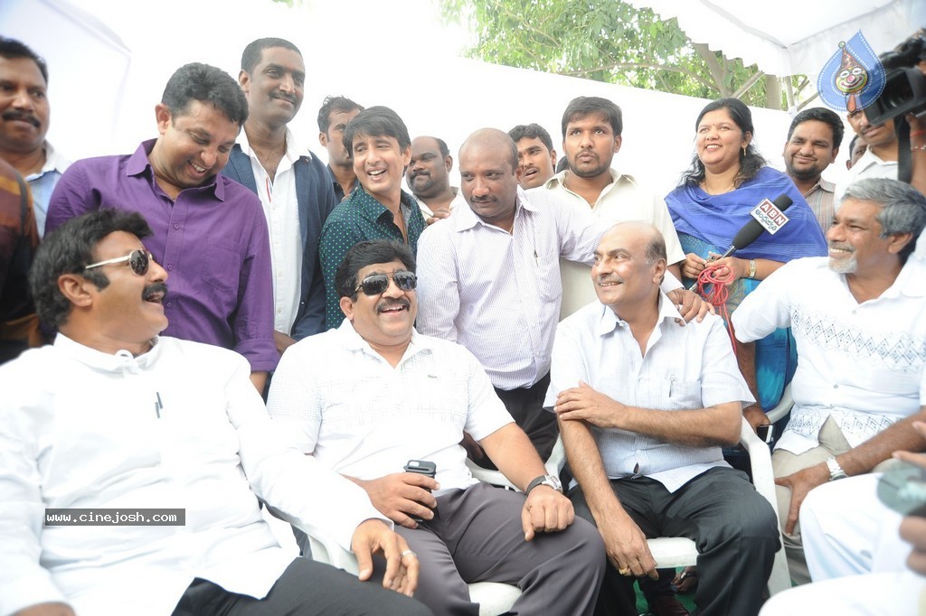 Balakrishna Launches Raju Gari Ruchulu - 32 / 304 photos