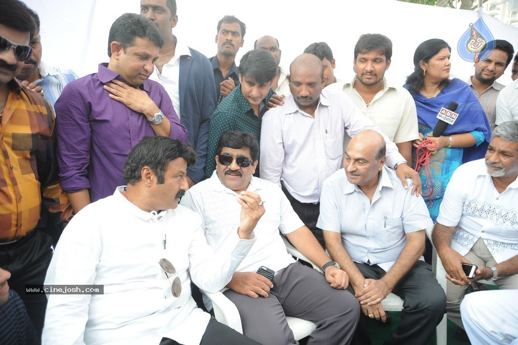 Balakrishna Launches Raju Gari Ruchulu - 39 / 304 photos