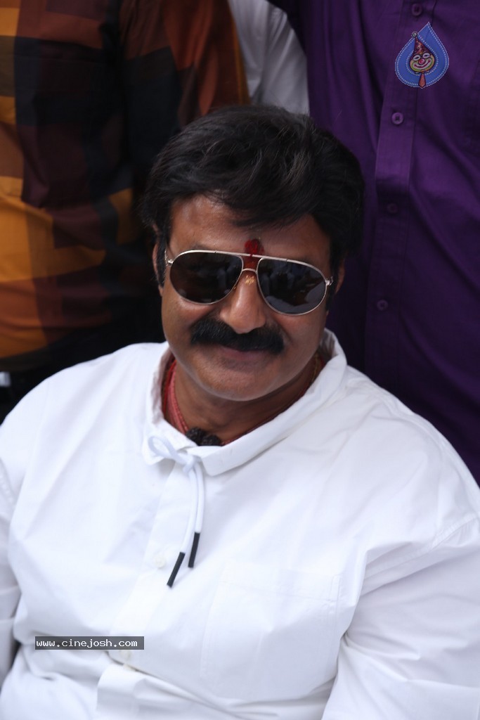 Balakrishna Launches Raju Gari Ruchulu - 45 / 304 photos