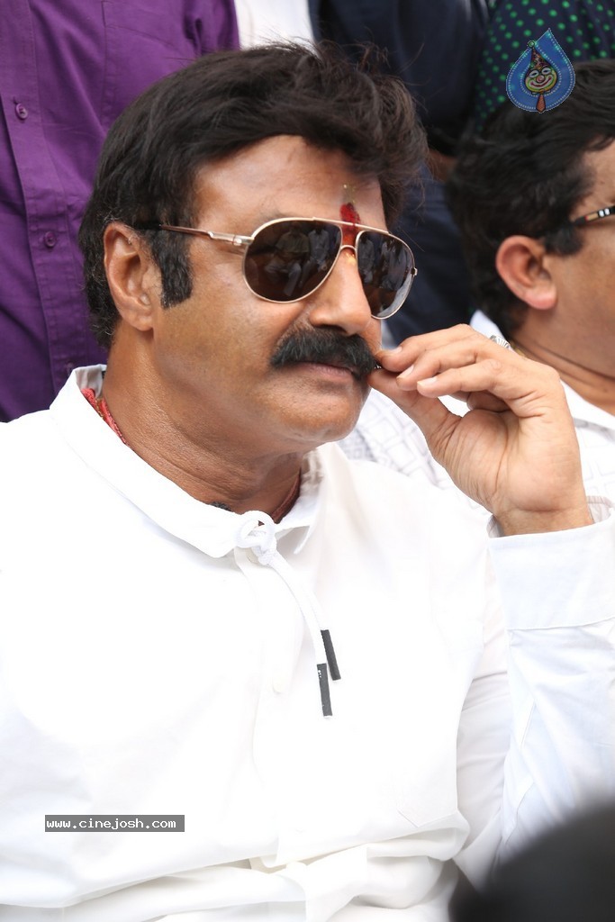 Balakrishna Launches Raju Gari Ruchulu - 53 / 304 photos