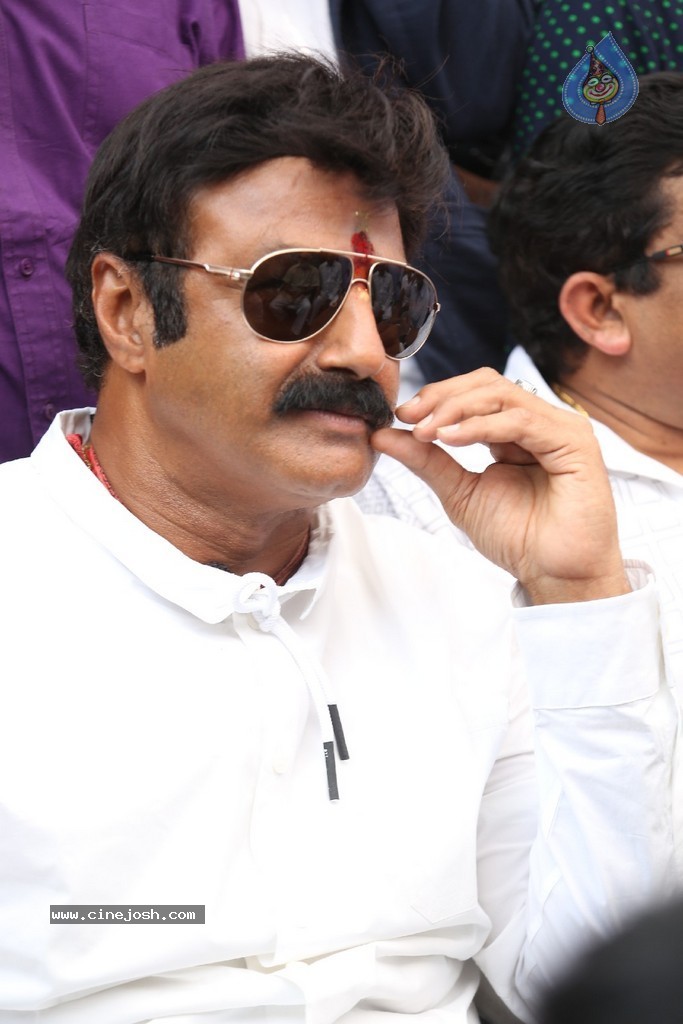 Balakrishna Launches Raju Gari Ruchulu - 59 / 304 photos