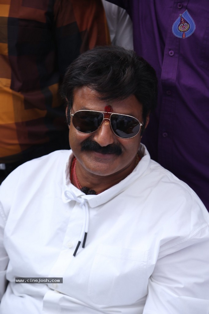 Balakrishna Launches Raju Gari Ruchulu - 119 / 304 photos
