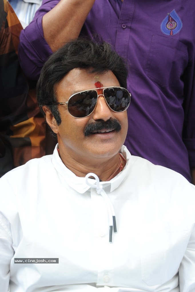 Balakrishna Launches Raju Gari Ruchulu - 164 / 304 photos