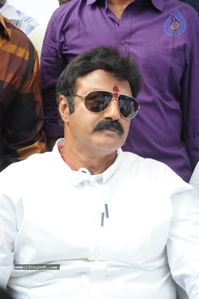 Balakrishna Launches Raju Gari Ruchulu - 199 / 304 photos