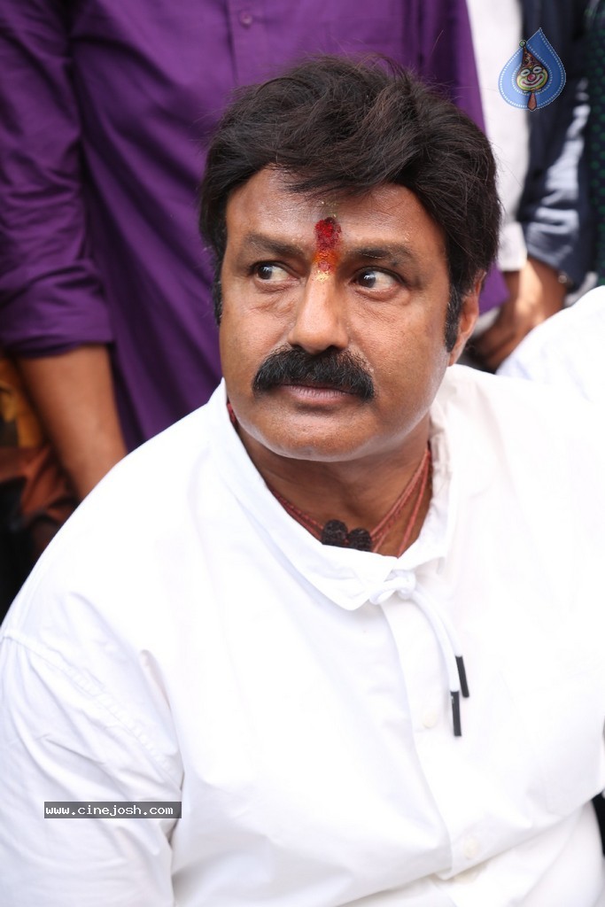 Balakrishna Launches Raju Gari Ruchulu - 200 / 304 photos