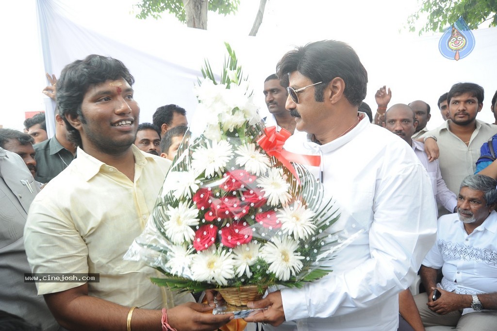 Balakrishna Launches Raju Gari Ruchulu - 210 / 304 photos