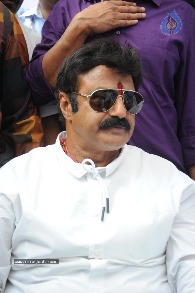 Balakrishna Launches Raju Gari Ruchulu - 217 / 304 photos