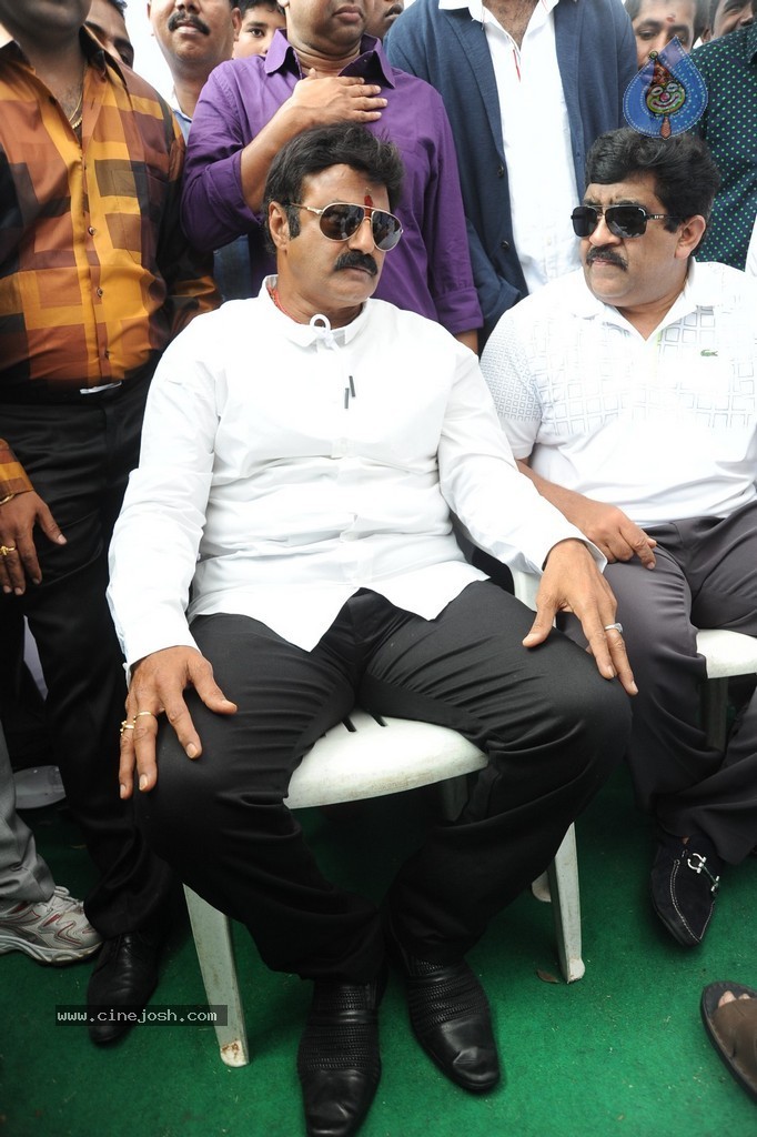 Balakrishna Launches Raju Gari Ruchulu - 246 / 304 photos