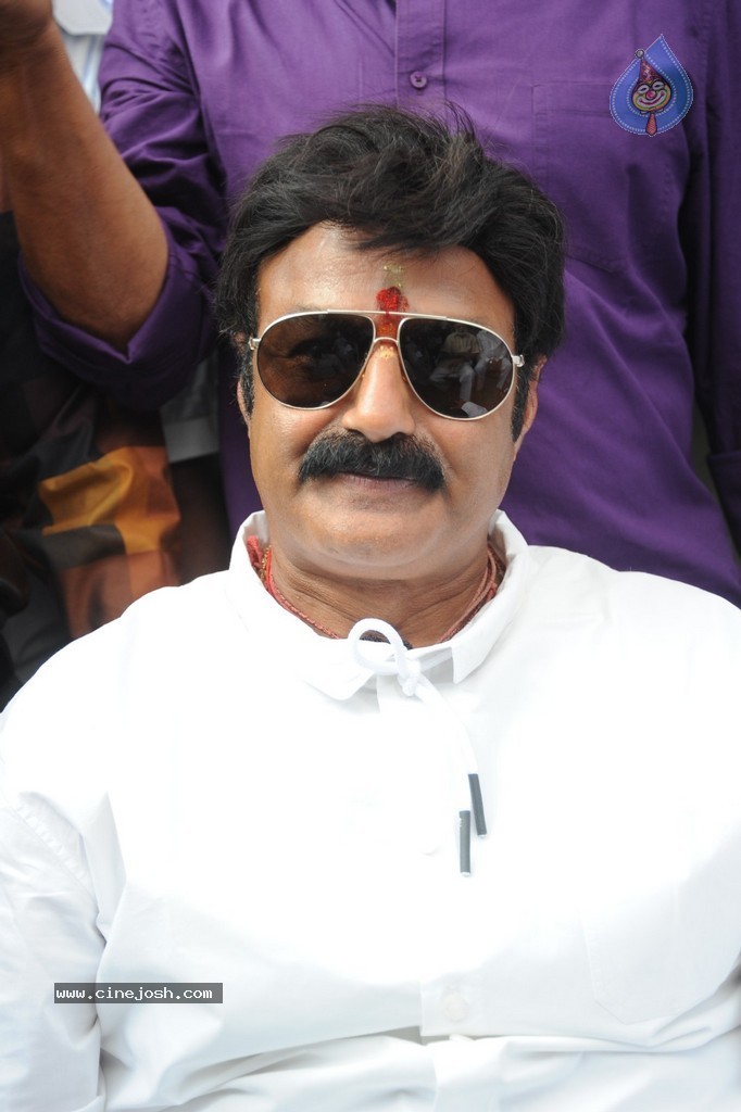 Balakrishna Launches Raju Gari Ruchulu - 249 / 304 photos