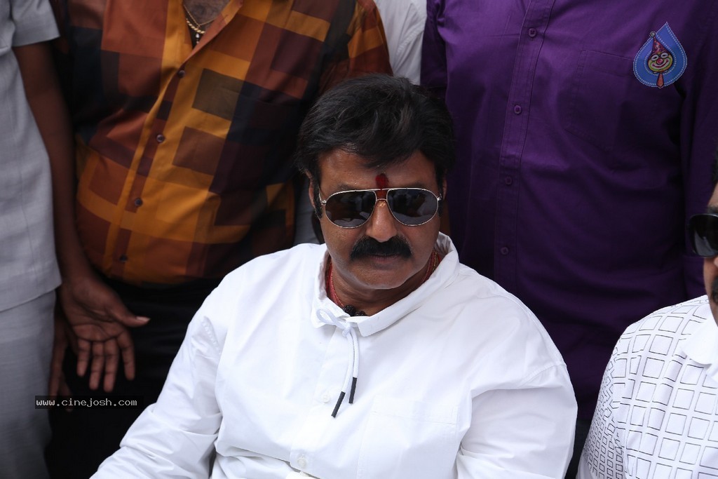 Balakrishna Launches Raju Gari Ruchulu - 258 / 304 photos