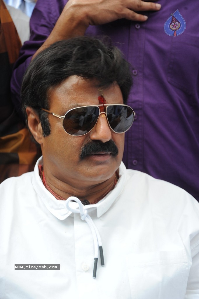 Balakrishna Launches Raju Gari Ruchulu - 303 / 304 photos