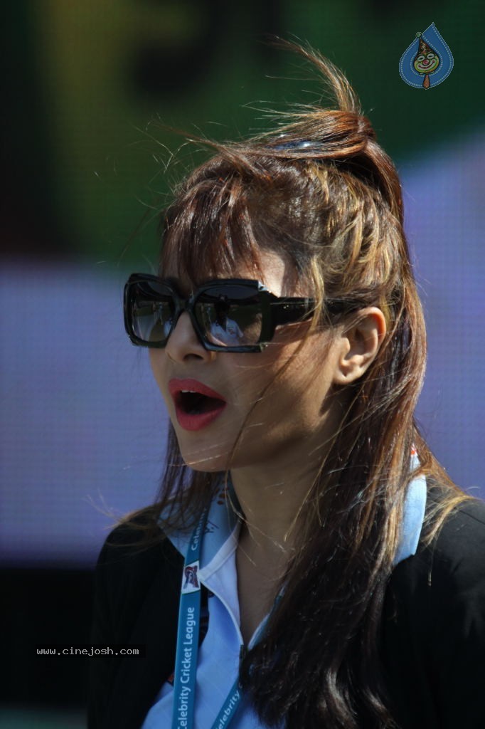 Bhojpuri Dabanggs Vs Bengal Tigers Match Photos  - 12 / 71 photos