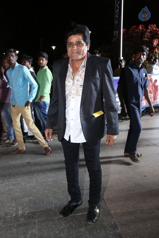 Britannia Filmfare Awards 2016 Photos 3 - 52 / 59 photos