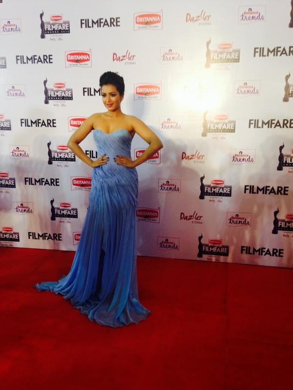 Britannia Filmfare Awards South Photos - 10 / 38 photos