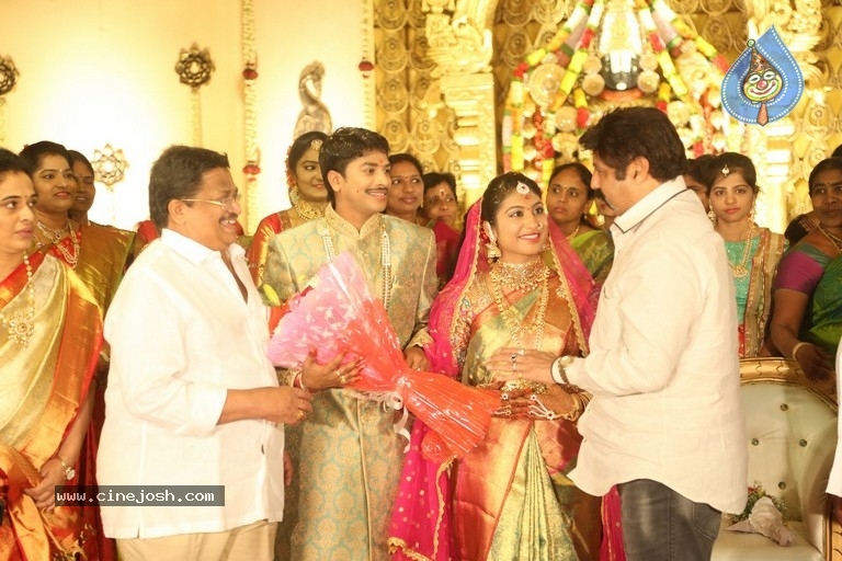 C Kalyan son Teja - Naga Sree Wedding Reception - 87 / 136 photos