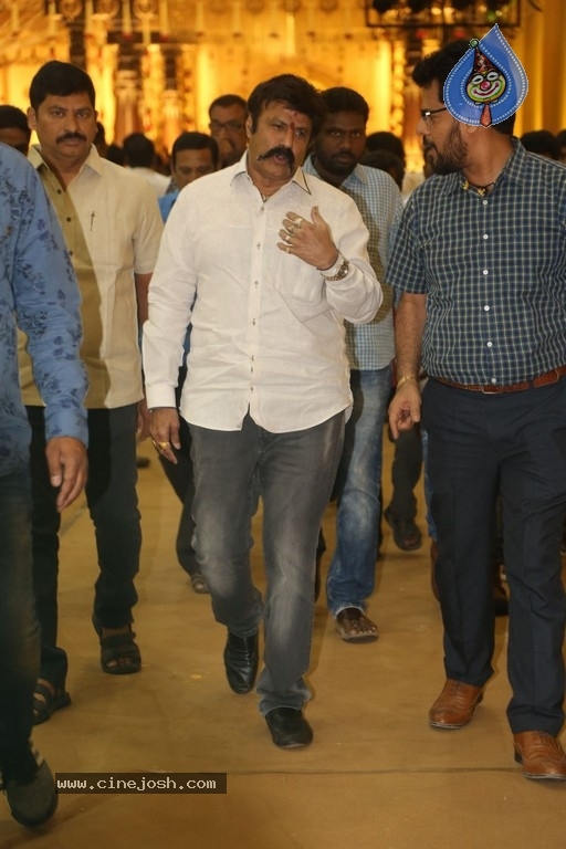 C Kalyan son Teja - Naga Sree Wedding Reception - 119 / 136 photos