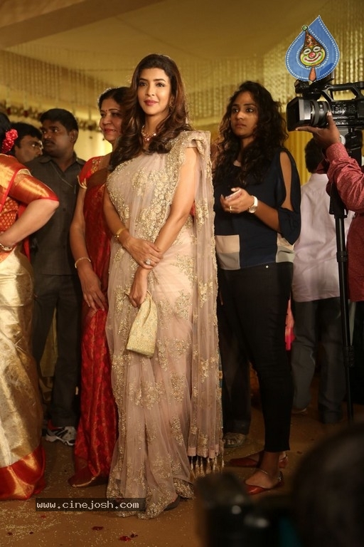 C Kalyan son Teja - Naga Sree Wedding Reception 2 - 28 / 76 photos