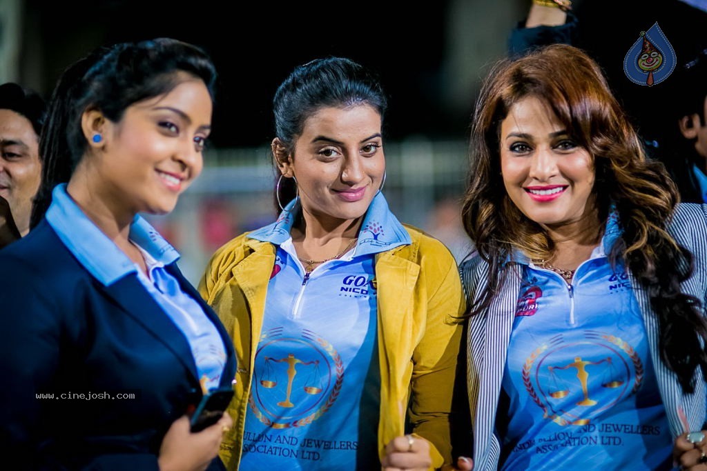 CCL4 Bhojpuri Dabanggs Vs Chennai Rhinos Match Photos - 86 / 168 photos
