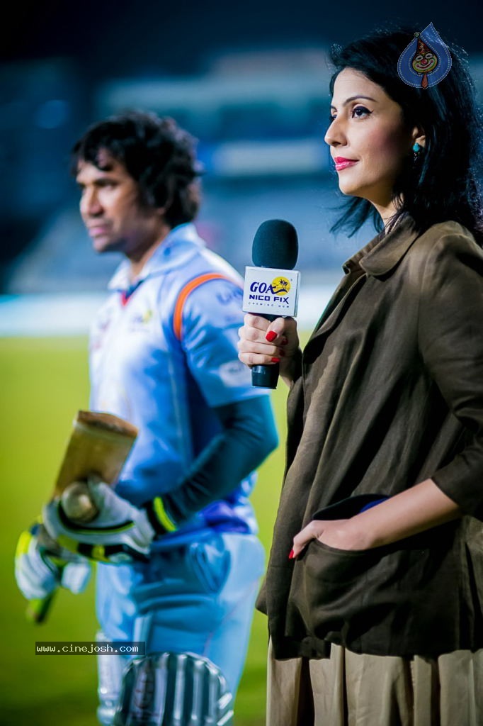 CCL4 Bhojpuri Dabanggs Vs Chennai Rhinos Match Photos - 112 / 168 photos