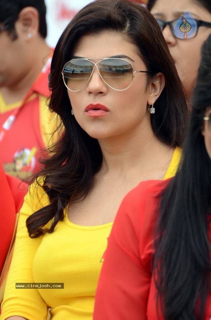 CCL4 Mumbai Heroes Vs Telugu Warriors Match Photos - 23 / 178 photos