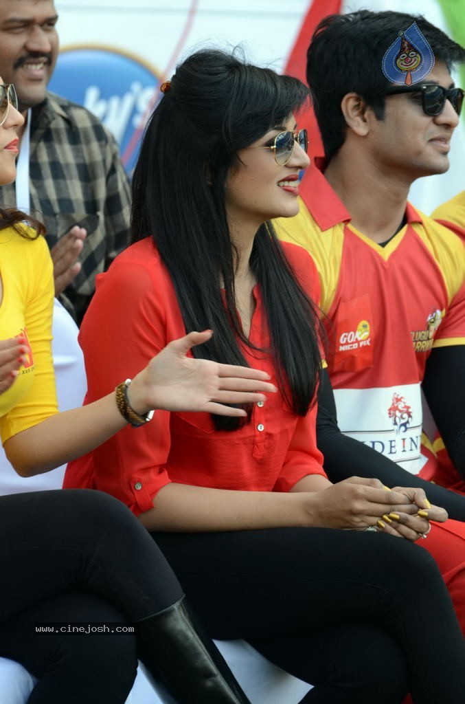 CCL4 Mumbai Heroes Vs Telugu Warriors Match Photos - 152 / 178 photos