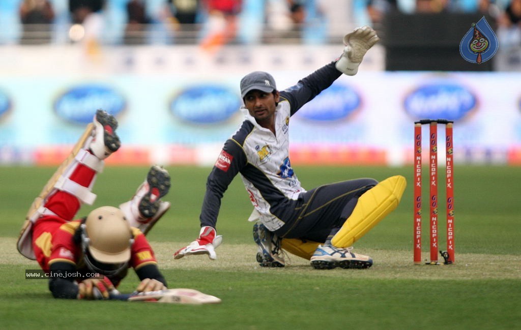 CCL4 Mumbai Heroes Vs Telugu Warriors Match Photos - 162 / 178 photos