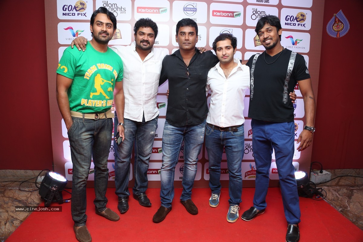 CCL4 Team Get toGether Party - 280 / 291 photos