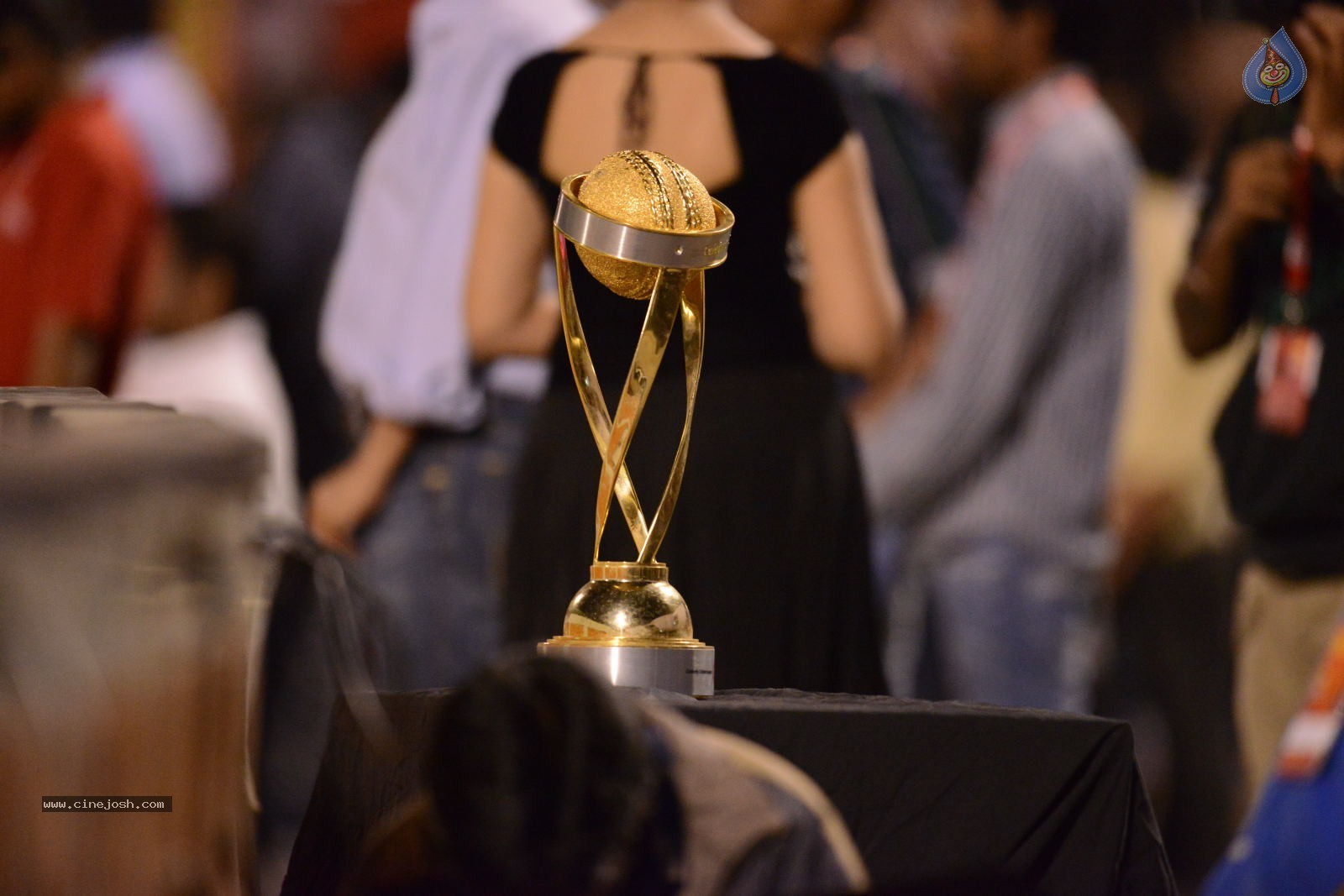 CCL5 Telugu warriors vs Bengal Tigers 01 - 23 / 214 photos