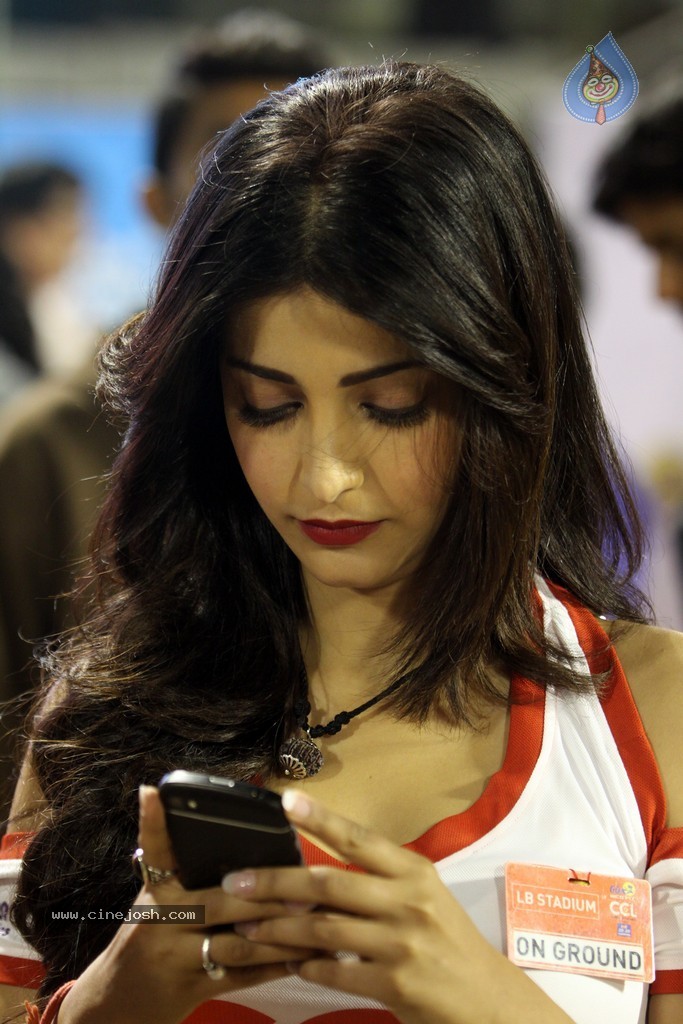 CCL 4 Final Karnataka Bulldozers Vs Kerala Strikers Match Photos - 47 / 62 photos