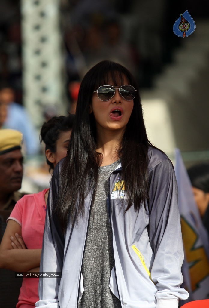 CCL 4 Veer Marathi Vs Mumbai Heroes Match - 89 / 190 photos