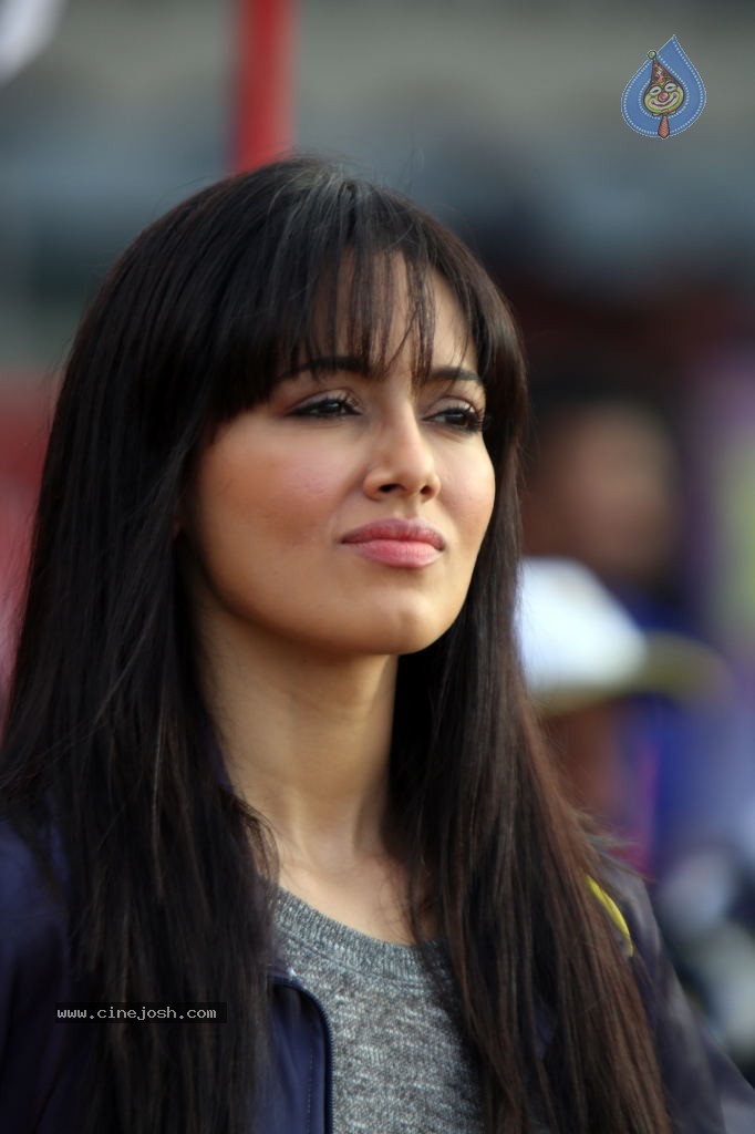 CCL 4 Veer Marathi Vs Mumbai Heroes Match - 169 / 190 photos