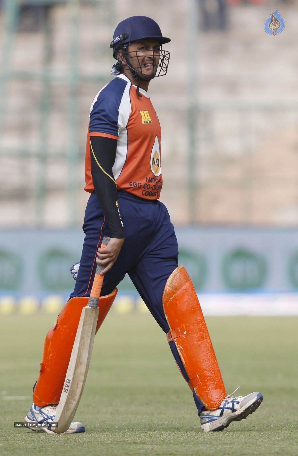CCL 5 Chennai Rhinos Vs Veer Marathi Match Photos - 46 / 90 photos