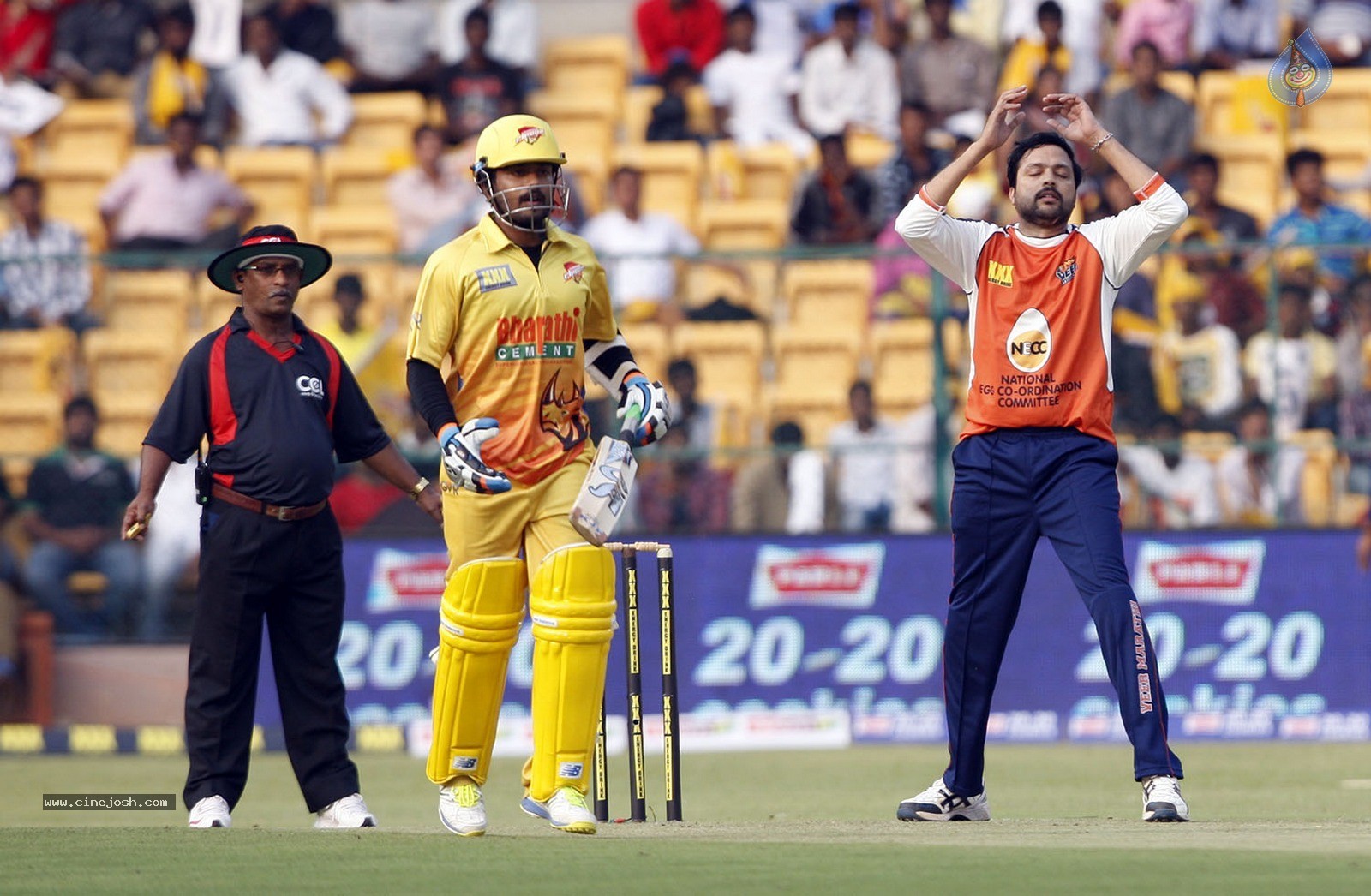 CCL 5 Chennai Rhinos Vs Veer Marathi Match Photos - 70 / 90 photos